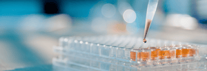 Close up of a dropper filling small vials with orange liquid